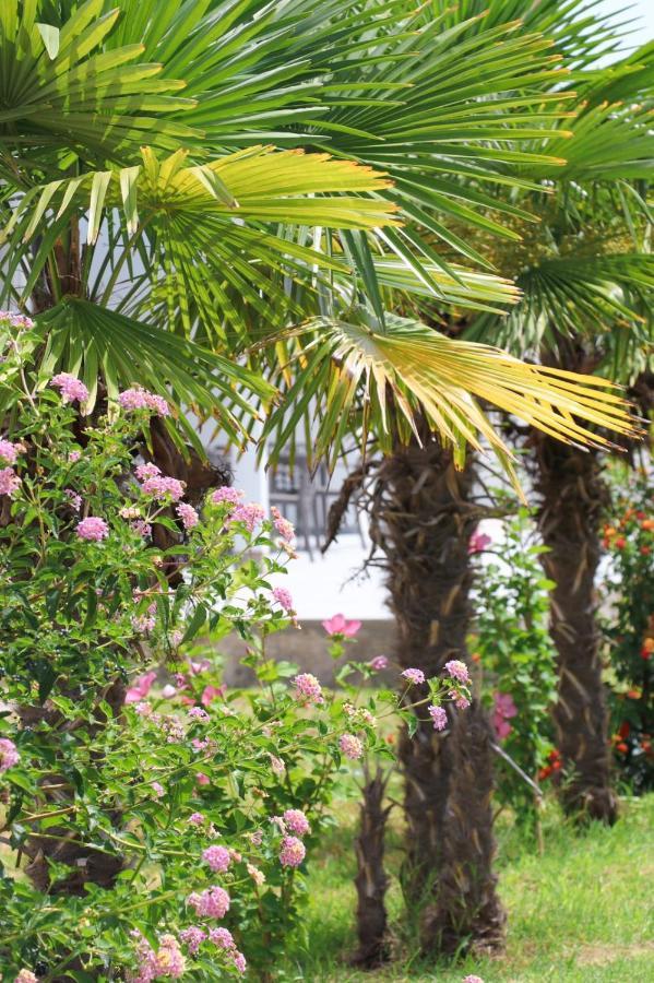 Hotel Velipoja Village Dış mekan fotoğraf